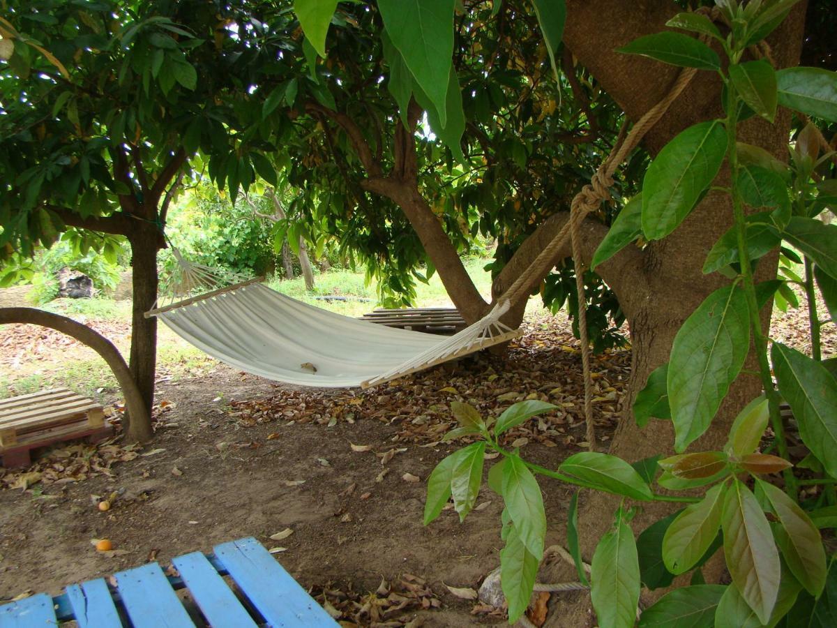 מלון פורטימאו Quinta Da Norinha מראה חיצוני תמונה